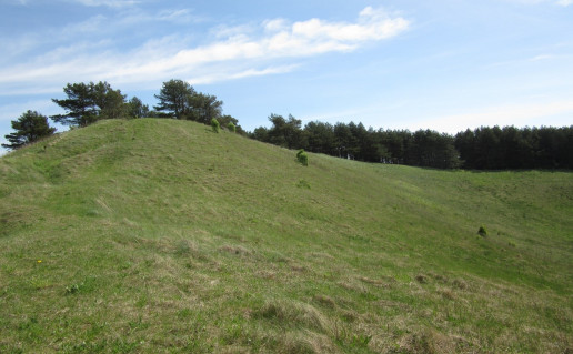 5_Pavištyčio piliakalnis (2).jpg